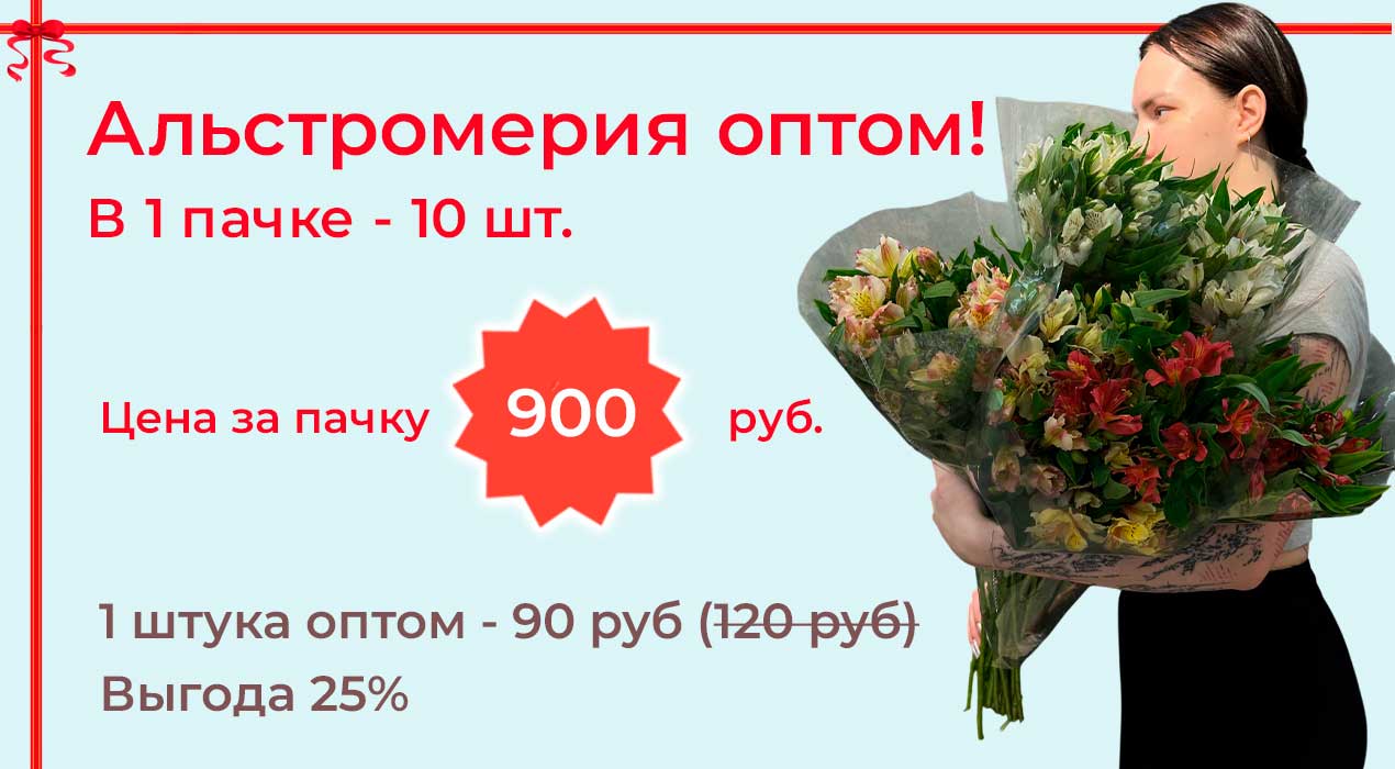 Акция 90 Альстромерия оптом