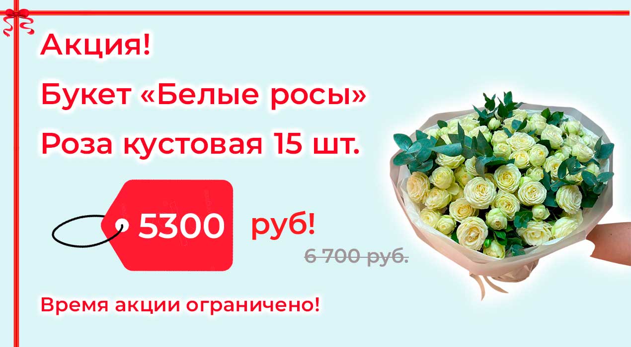 Акция 92 Белые росы