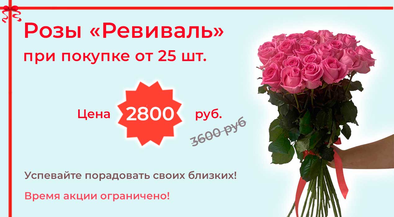 Акция 102 Роза Ревивал 25 шт