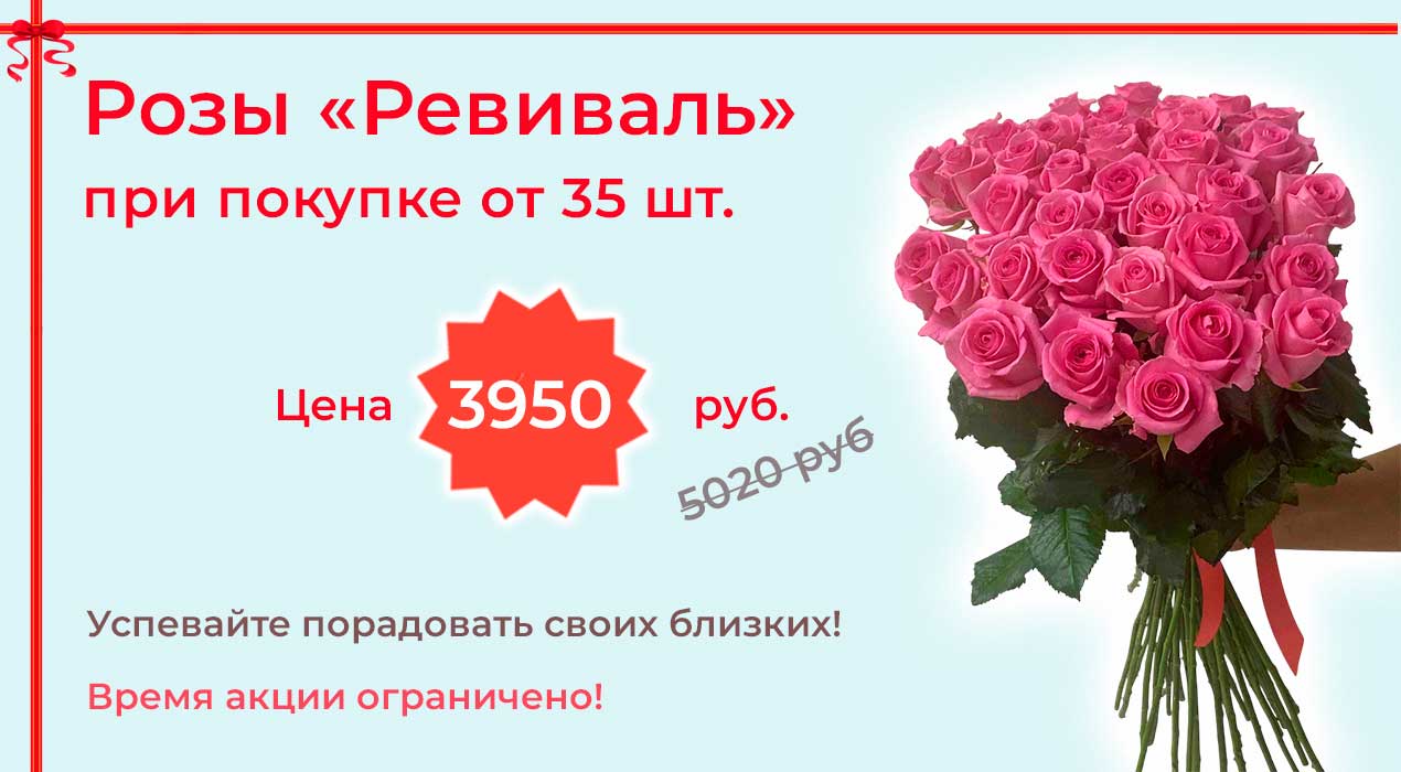 Акция 102-1 Роза Ревиваль 35 шт.