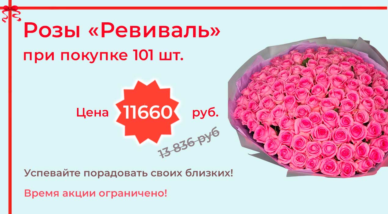 Акция 110-2 Роза Ревиваль 101 шт