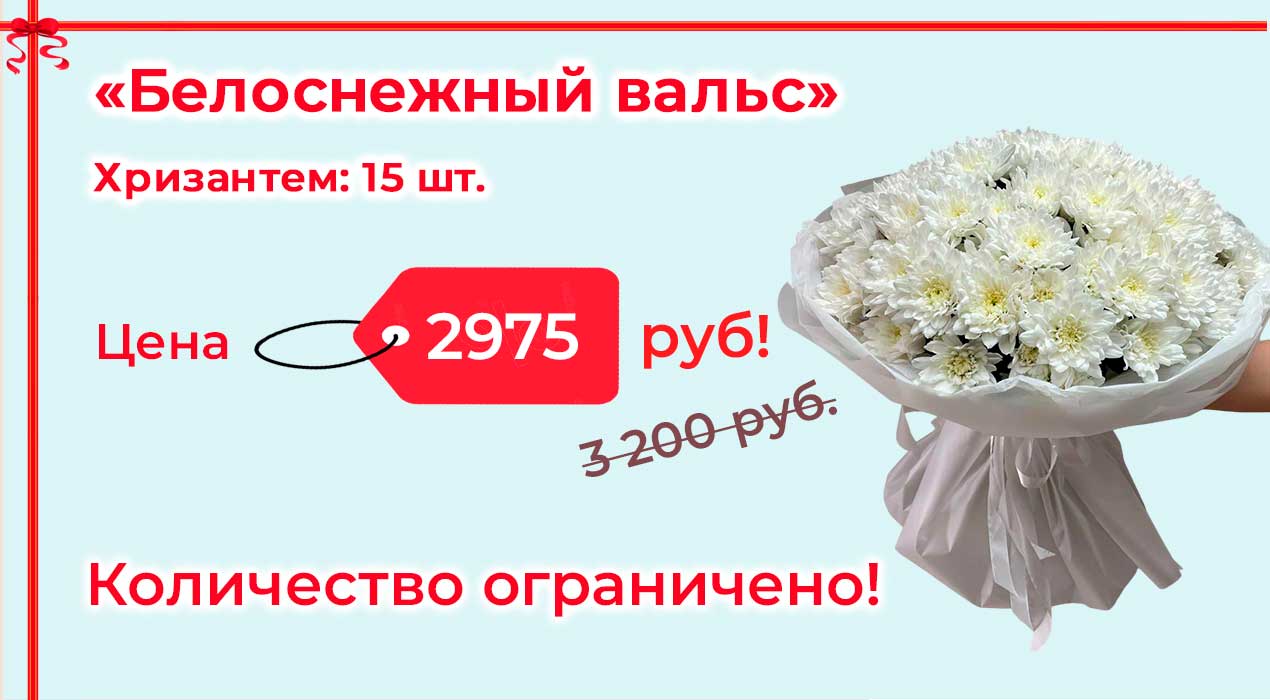 Акция 101 Белоснежный вальс L