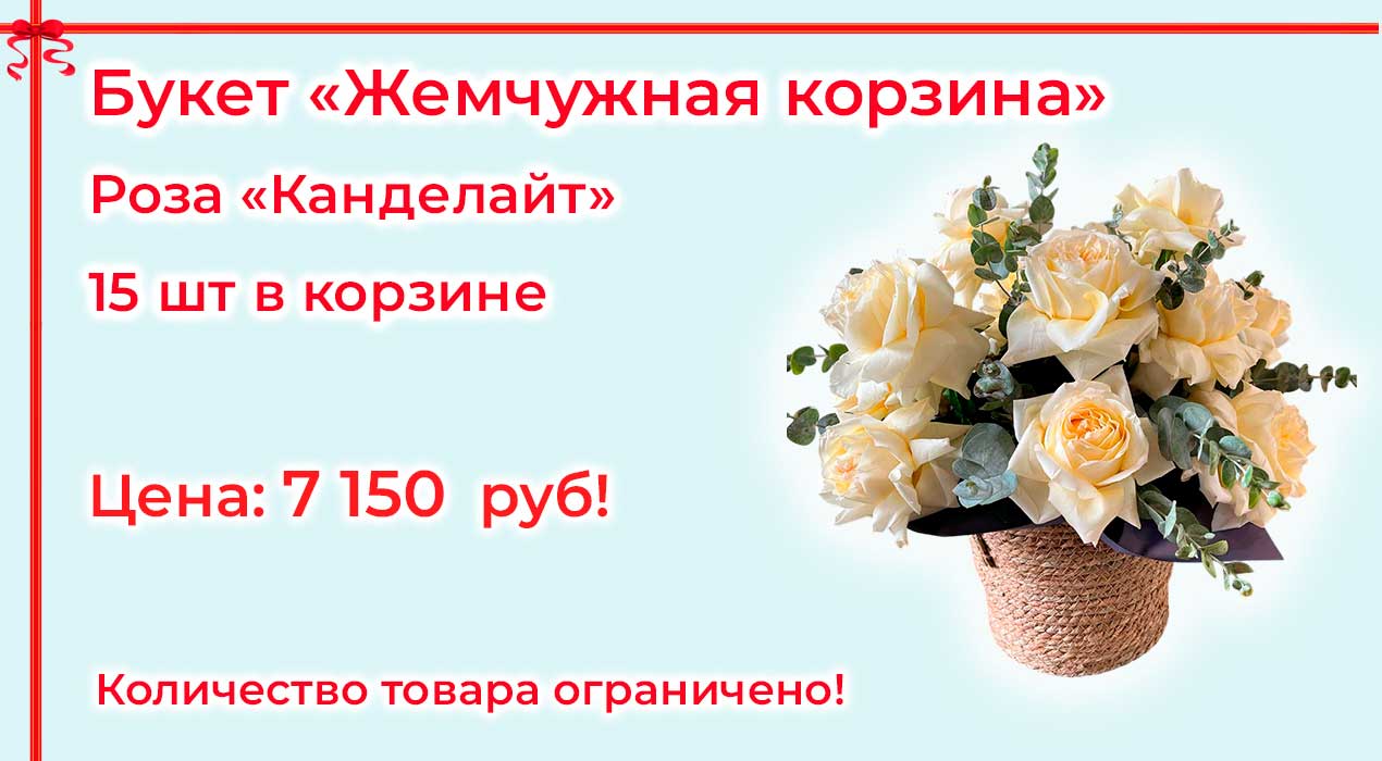 Акция 104 Жемчужная корзина