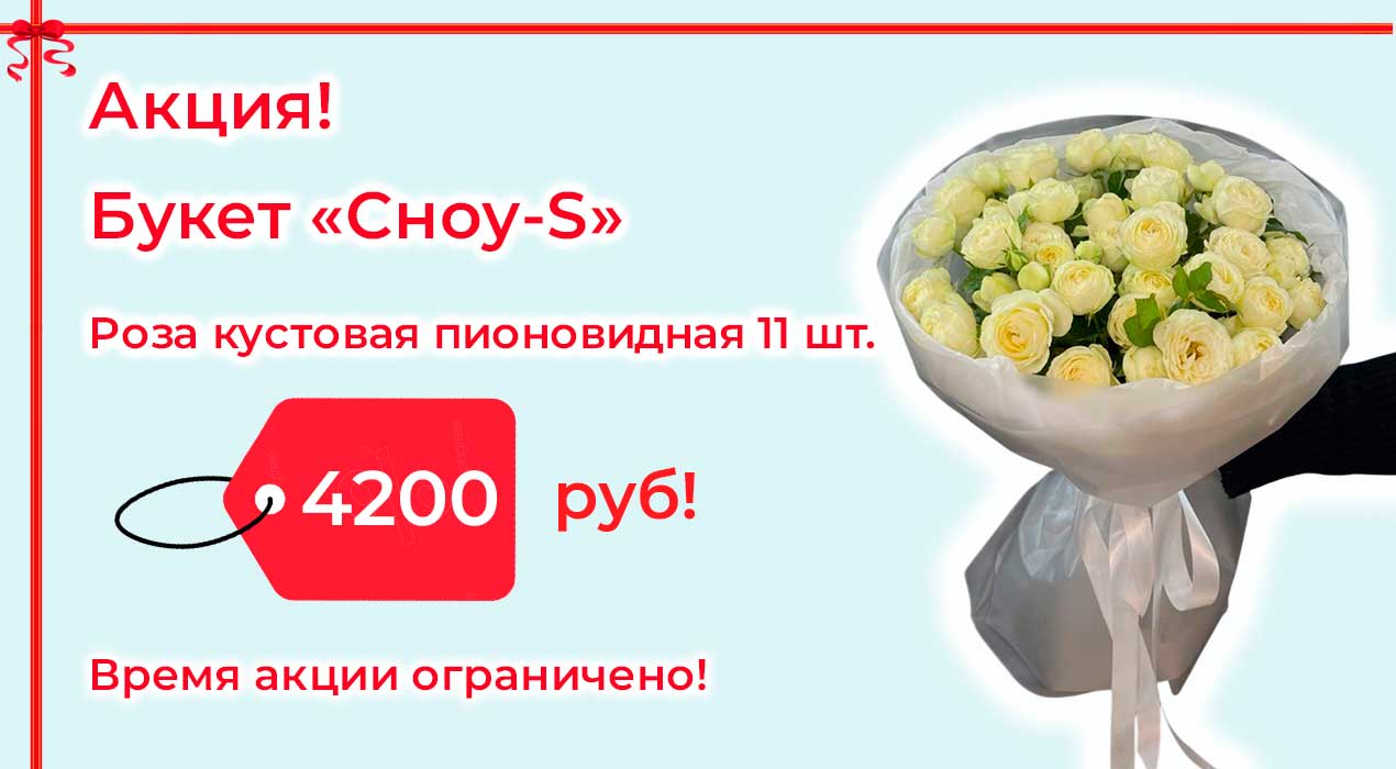 Акция 106 Букет Сноу S