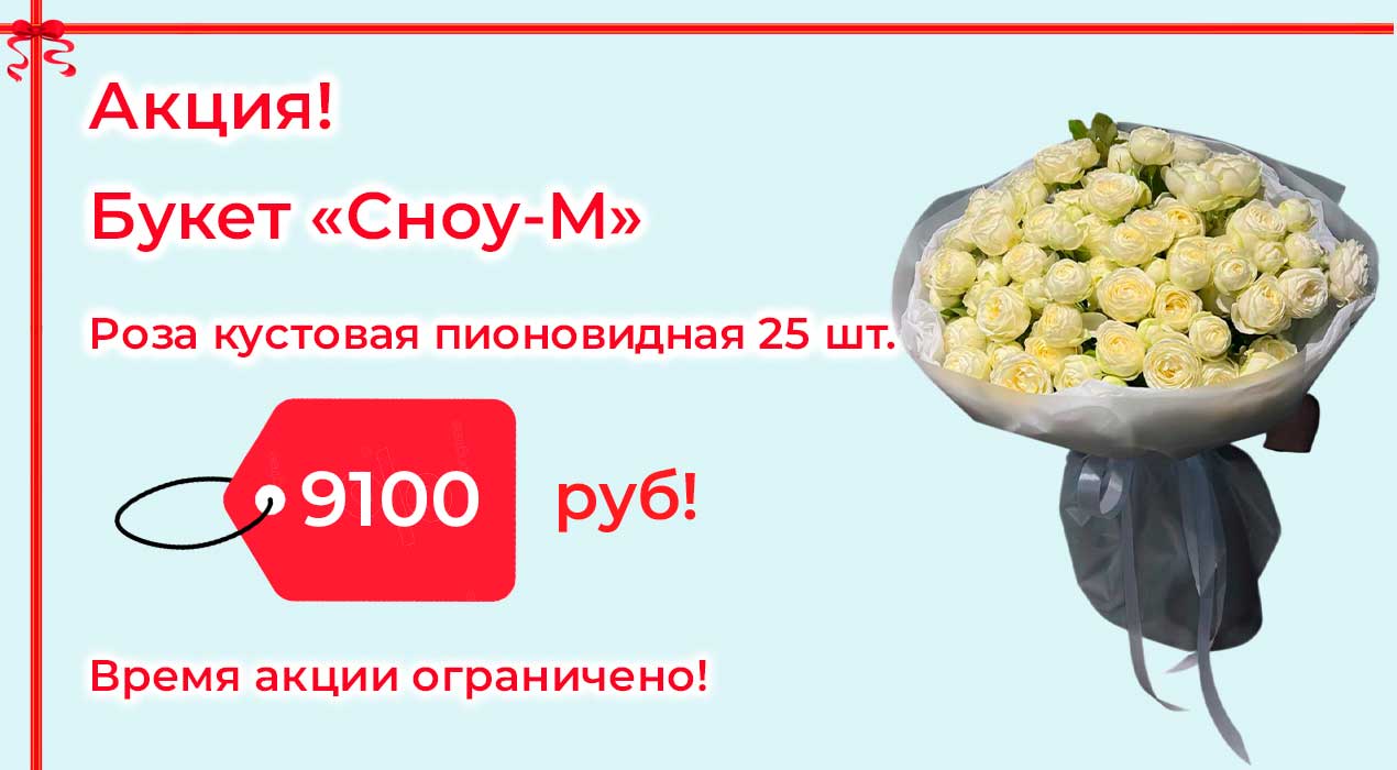 Акция 107 Букет Сноу М