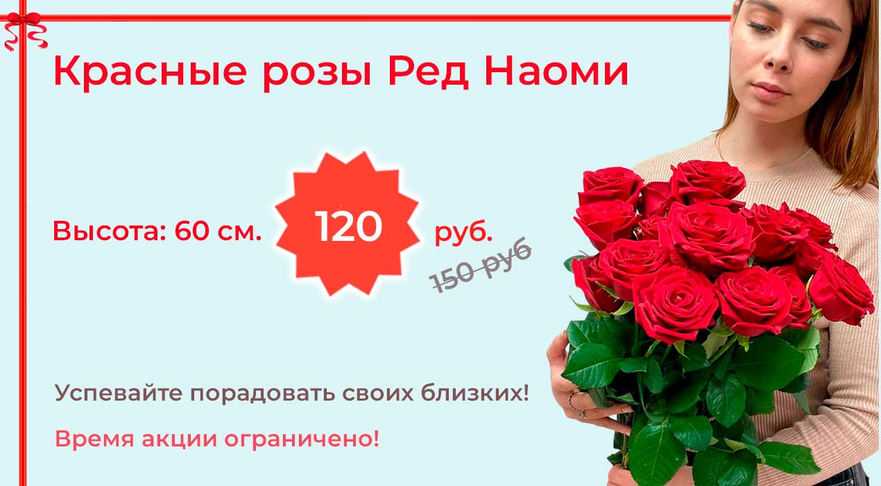 Розы Ред Наоми 15 шт