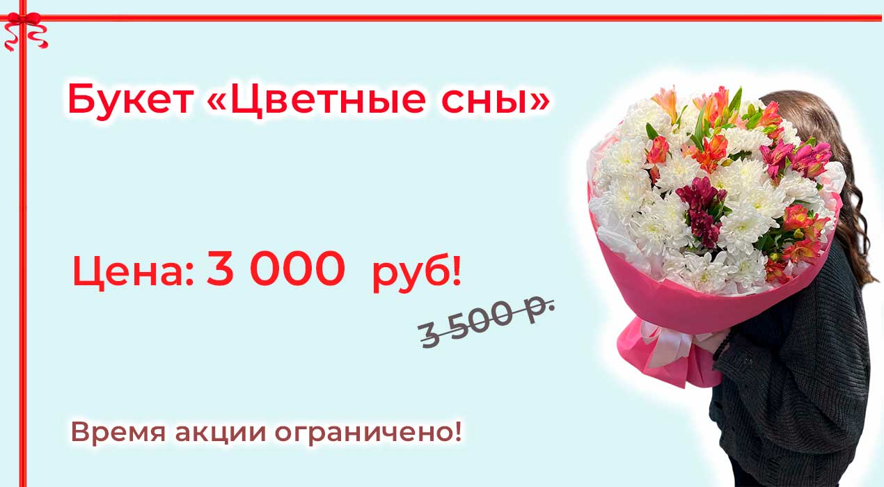 Акция 111 Цветные сны