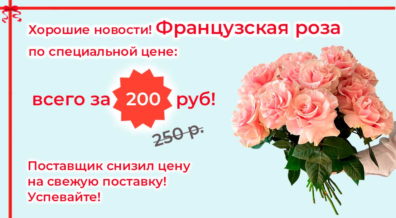 Акция 82-1 Французская роза