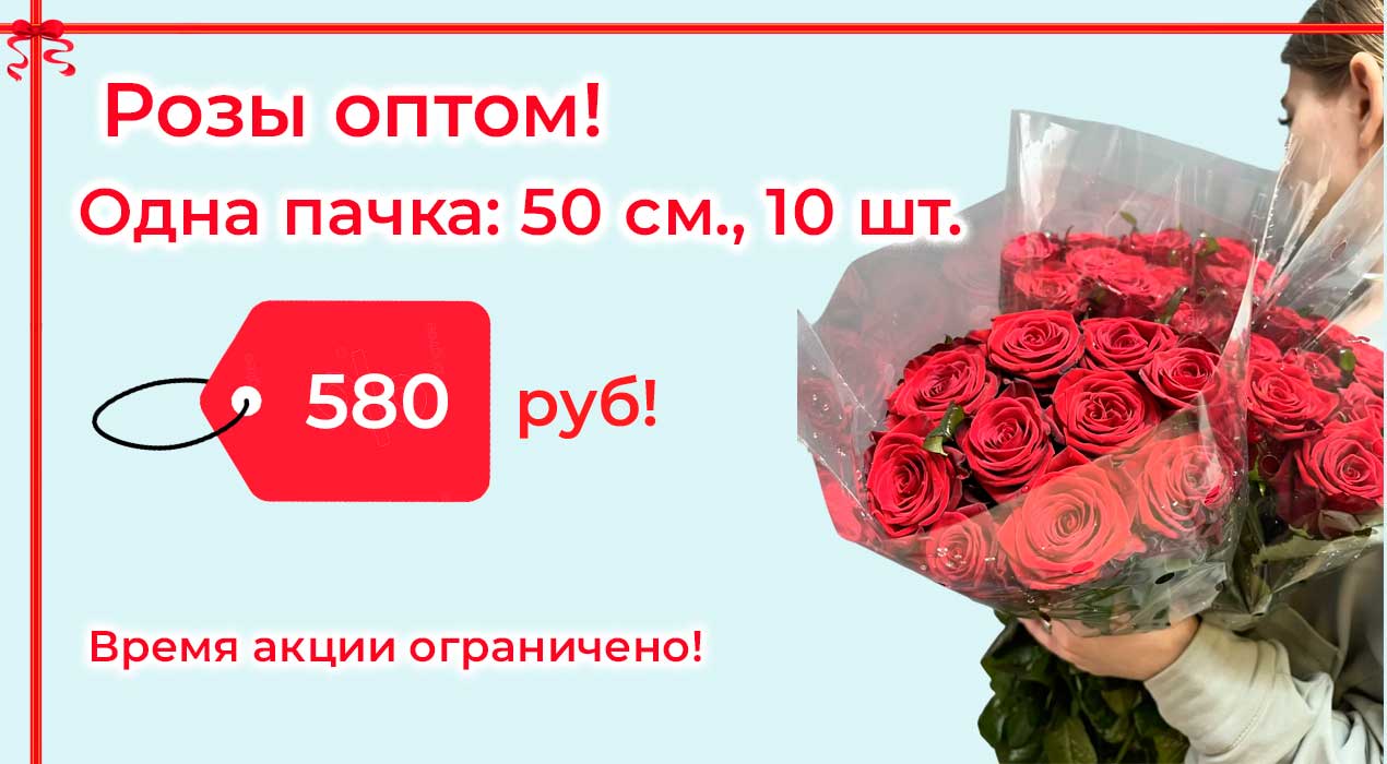 Акция 115 Розы оптом. 1 пачка 10 шт.