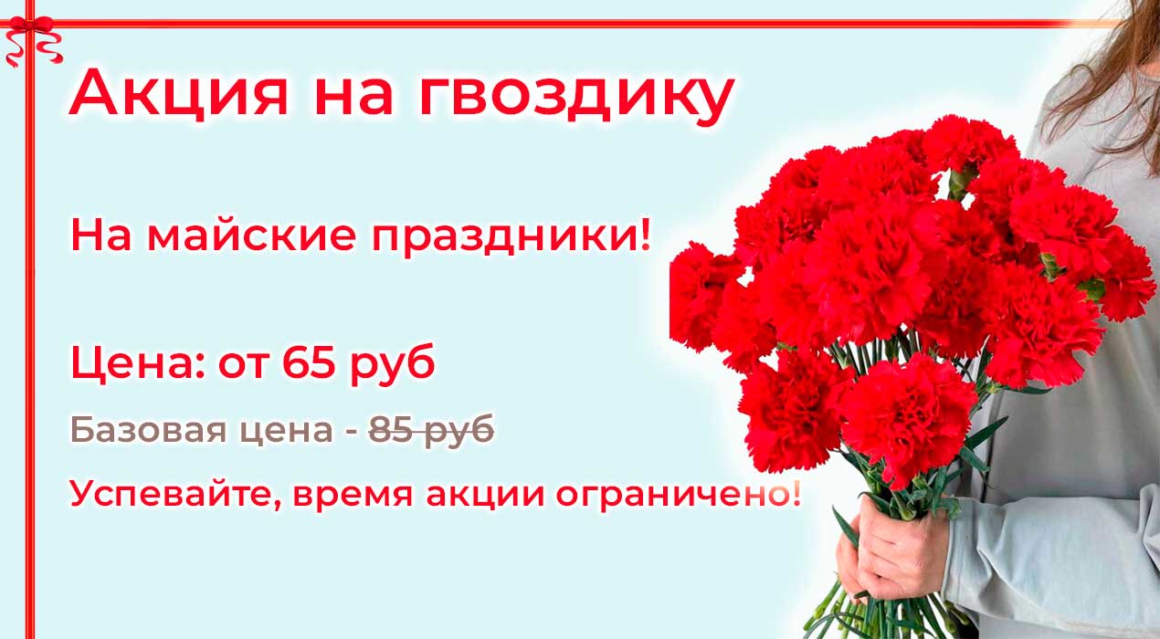Акция 117 Гвоздика на 9 Мая