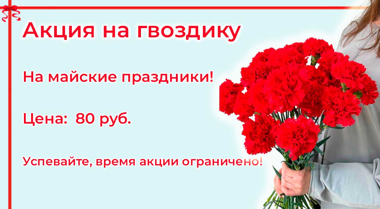 Акция 117 Гвоздика на 9 Мая