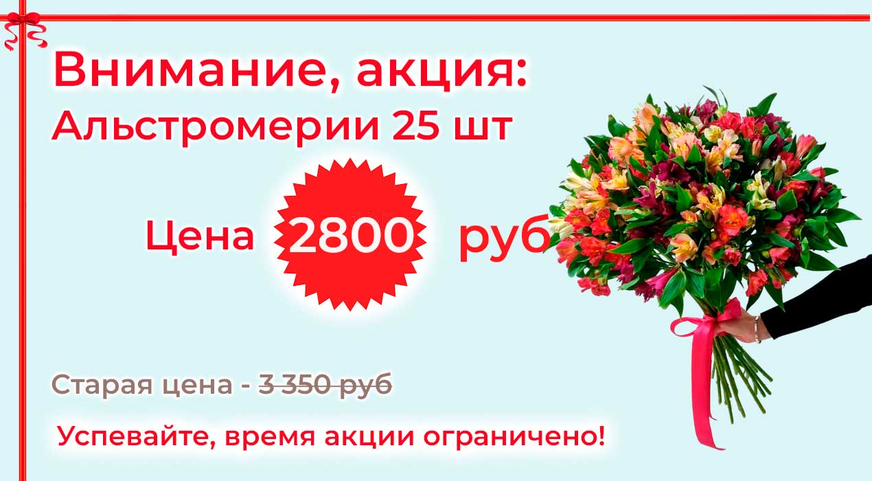 Акция 26-1 Альстромерия 25 шт