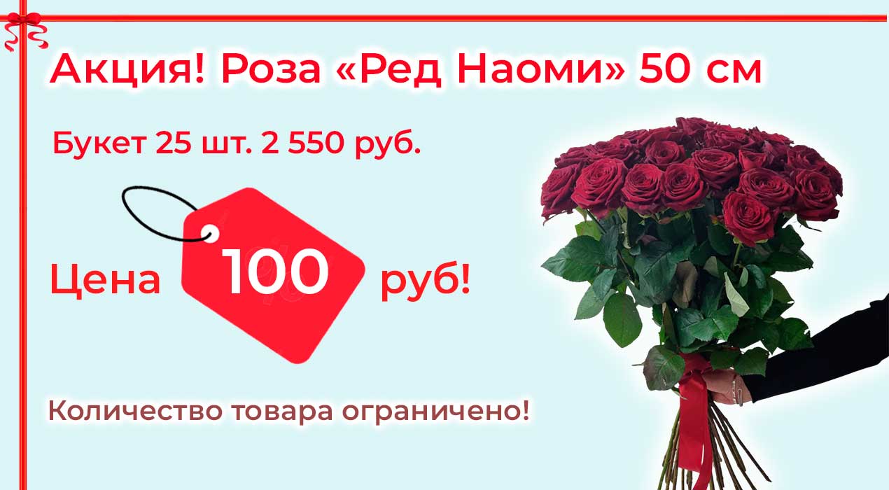 Акция 121 Роза Ред Наоми 25 шт