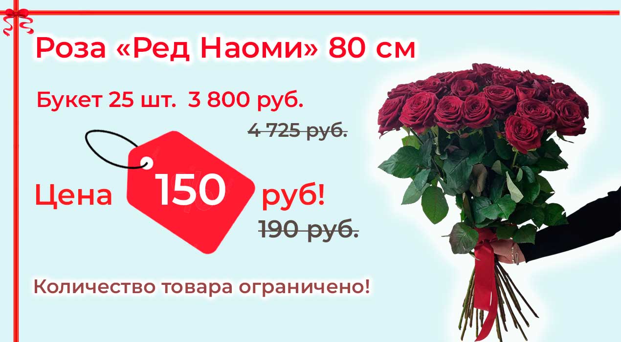 Акция 121 Роза Ред Наоми 25 шт