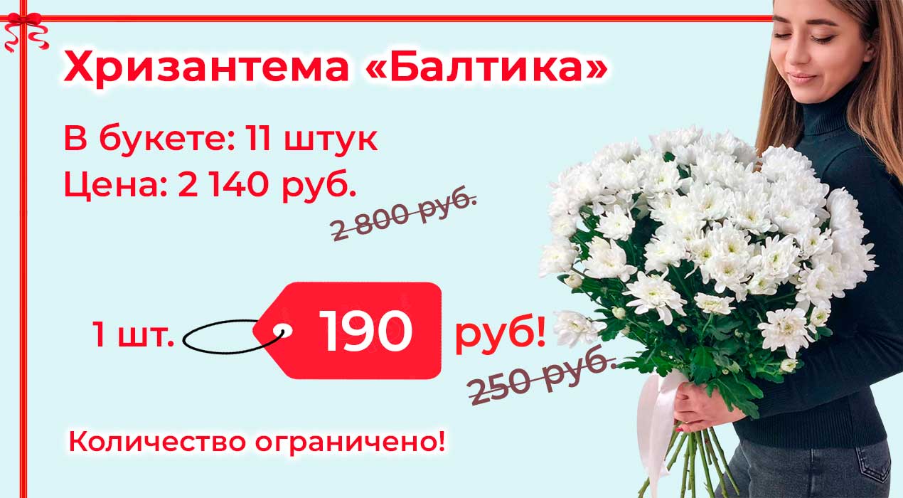 Акция 98-2 Хризантема 11 шт