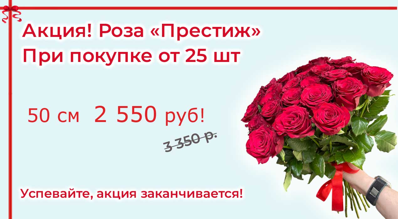 Акция-55-1 Роза Престиж от 25 шт