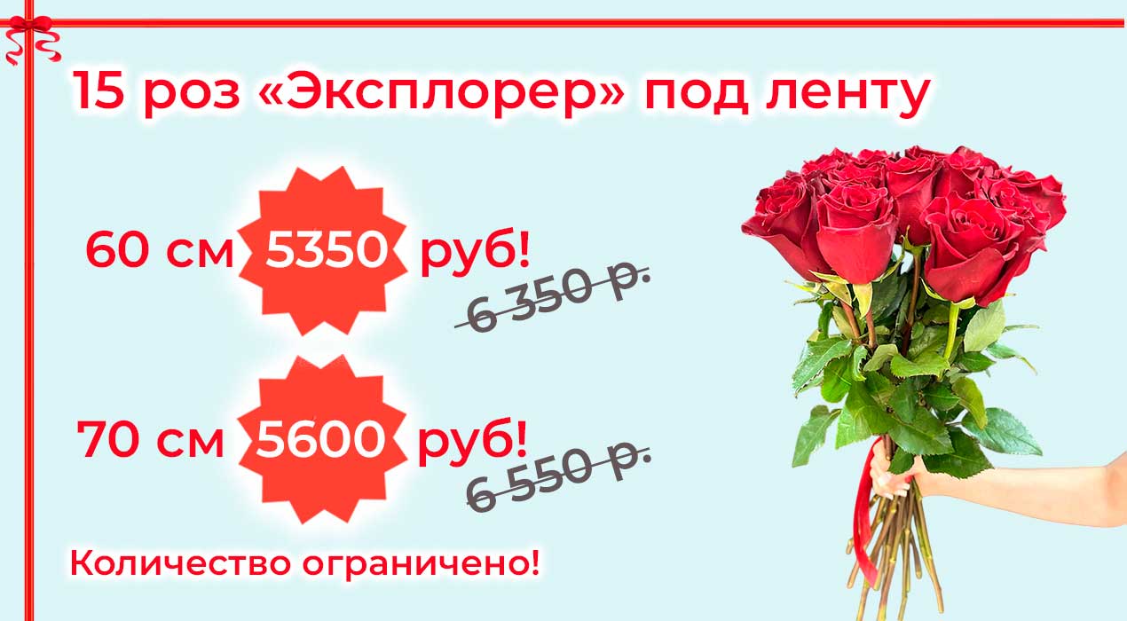Акция 129-1 15 роз Эксплорер
