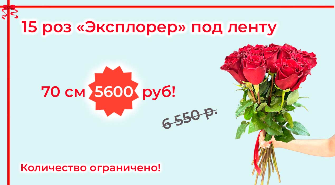 Акция 129-1 15 роз Эксплорер