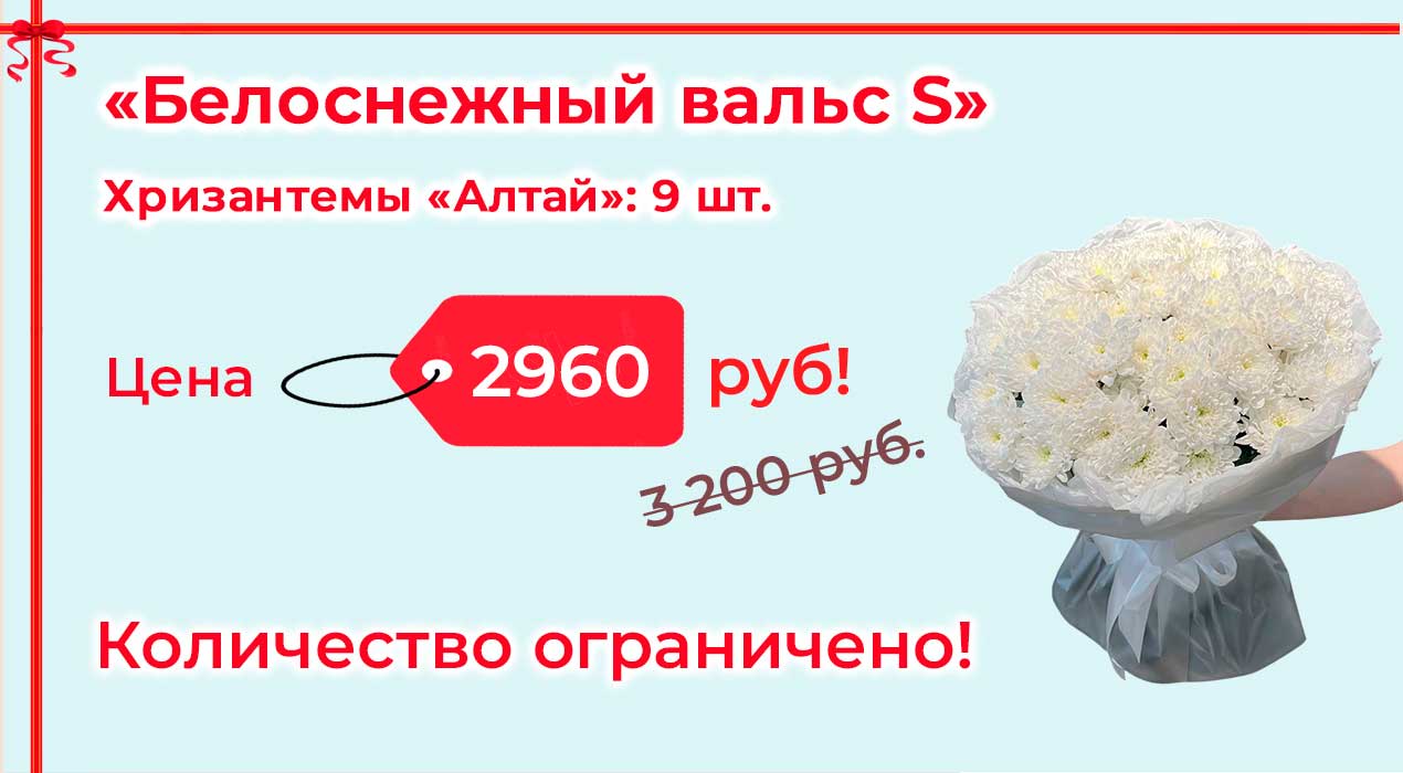 Акция 101-1 Белоснежный вальс S