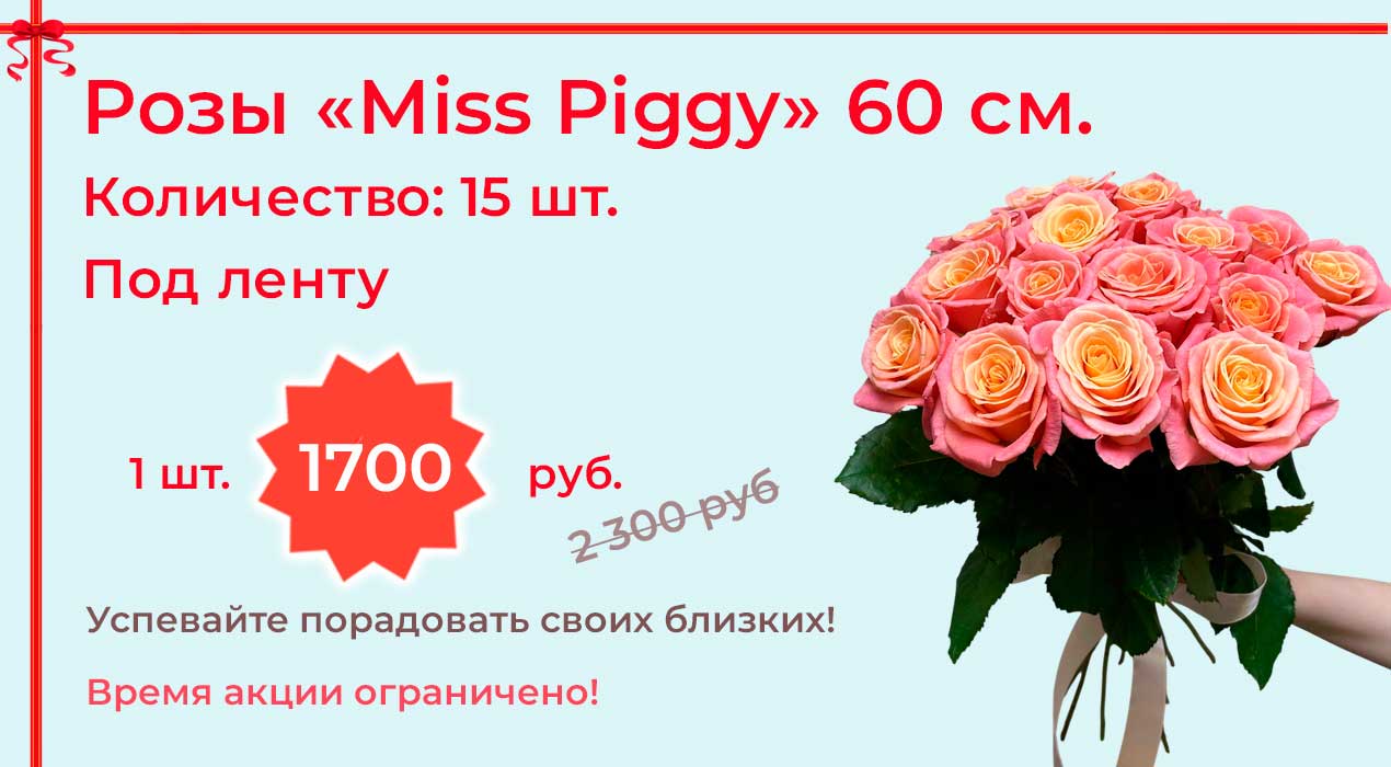 Акция 64-1 Розы Мисс Пигги 15 шт.