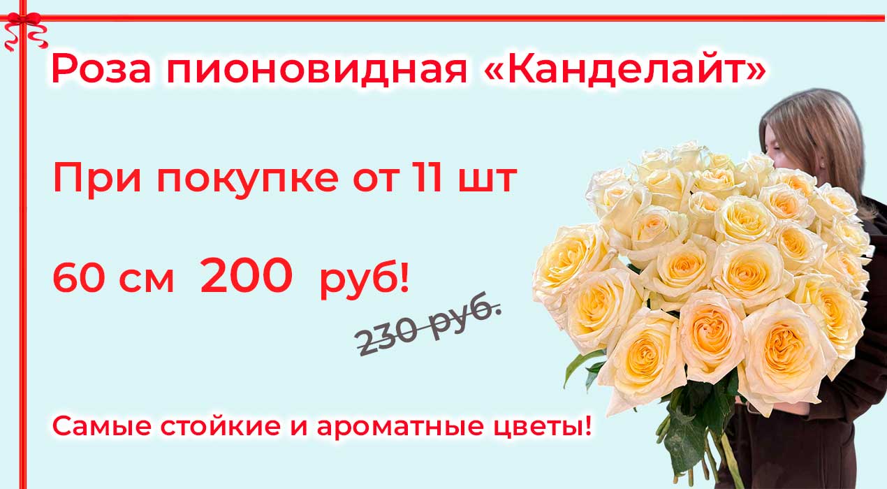 Акция 125-1 Роза Канделайт от 11 шт