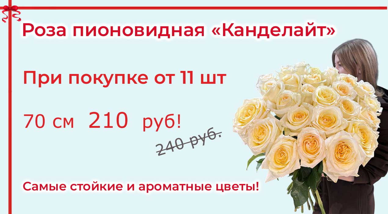 Акция 125-1 Роза Канделайт от 11 шт