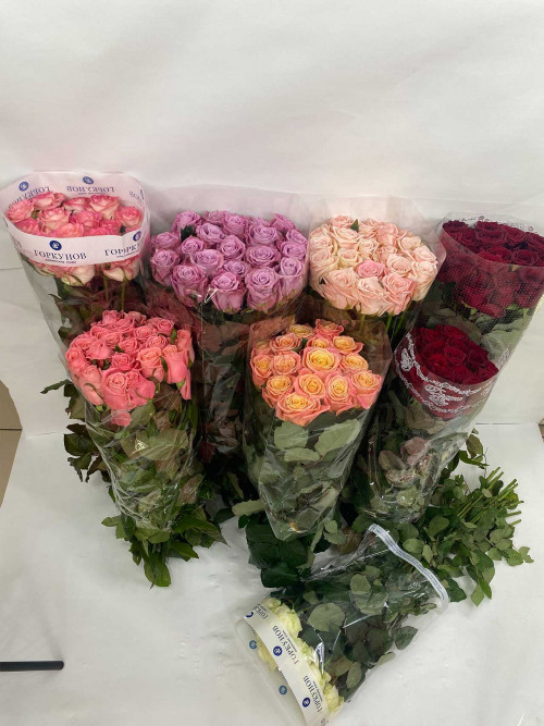 Оптовые цены на цветы