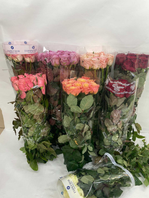 Оптовые цены на цветы